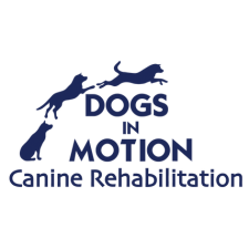 A Case Study with Michelle Monk of Dogs in Motion Canine Rehabilitation